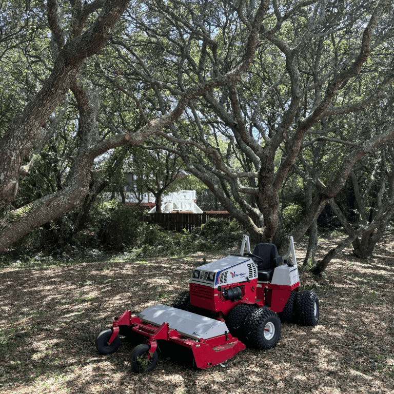 Tree Service in Corolla, NC