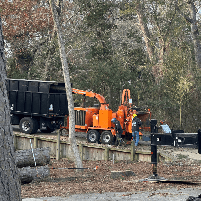 Emergency Tree Service Kitty Hawk, NC