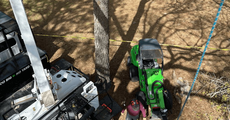 Tree service team working in Coinjock NC