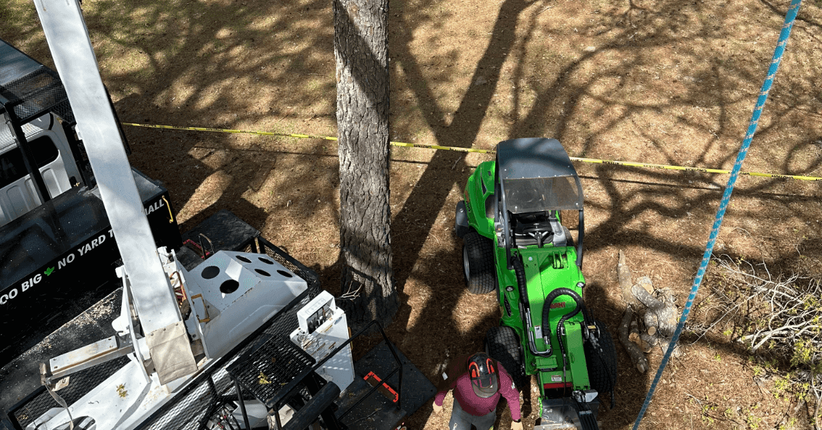 Tree service team working in Coinjock NC