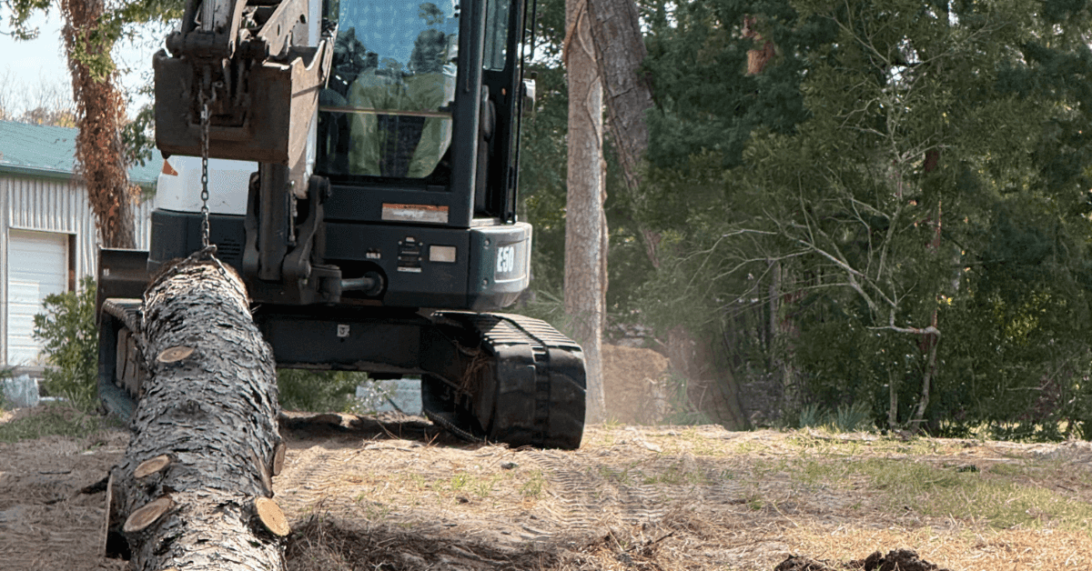 Tree Removal Cost in OBX, NC