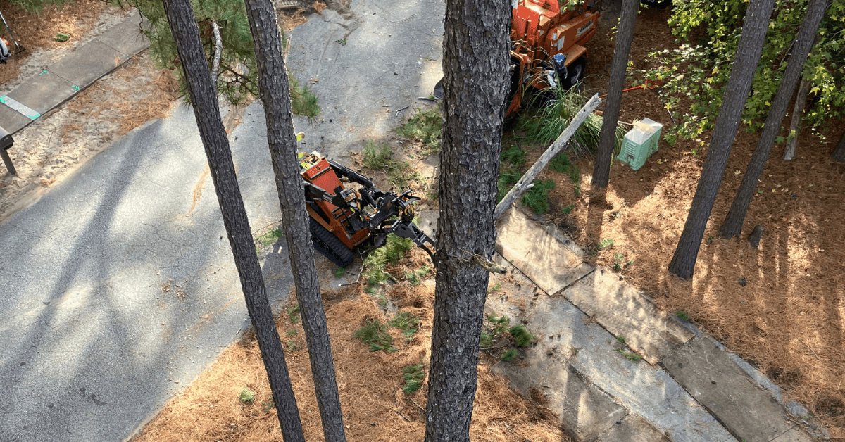Professional landscapers maintain a modern office building’s exterior garden