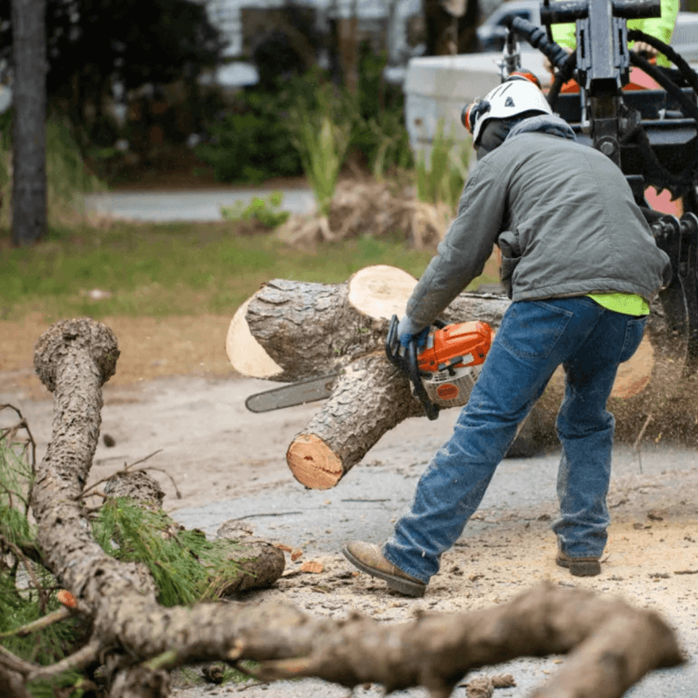 tree service nags head, nc