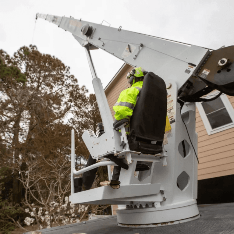 Certified arborist inspecting pine tree health near coastal home in Outer Banks NC