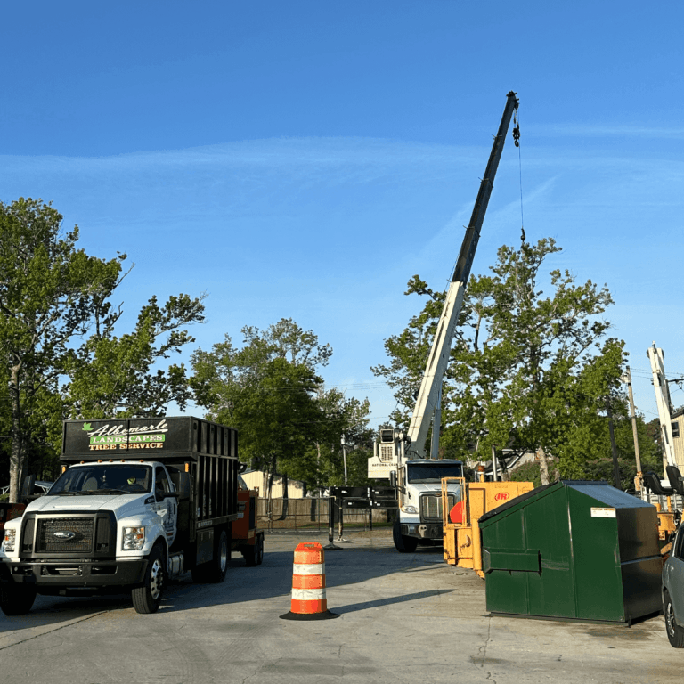 Storm debris cleanup and hauling by Albemarle in Outer Banks NC
