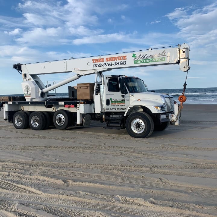 Large tree removal and debris hauling service in Kitty Hawk NC