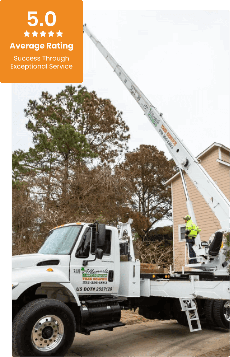 Commercial Tree Service