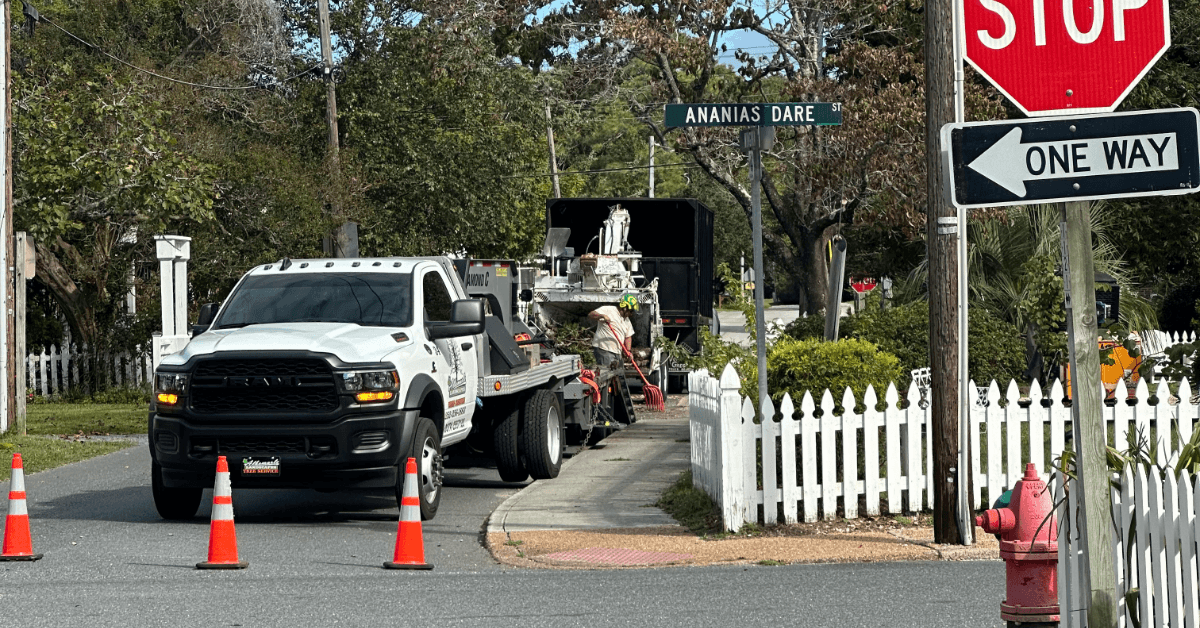 Shrub Removal / Trimming in the Outer Banks, NC