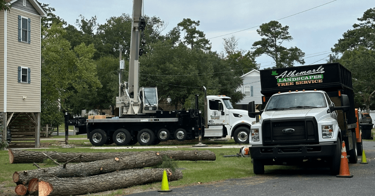 Tree Service Company