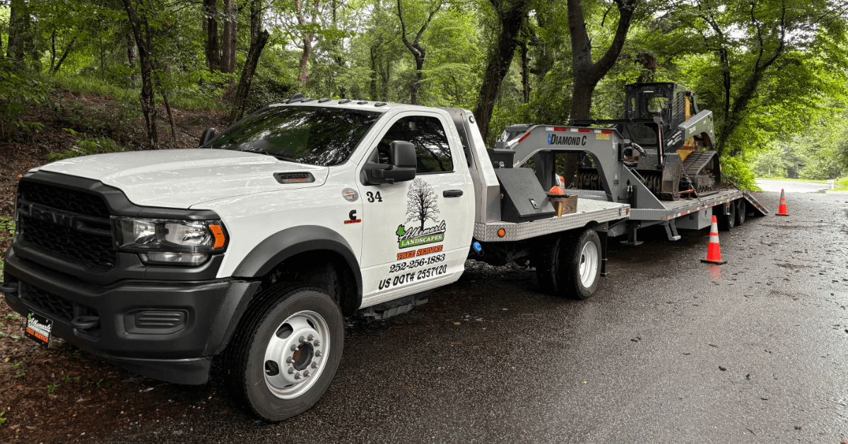 Tree Service Near Me