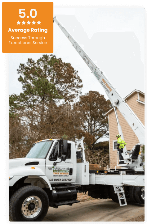 Commercial Tree Service