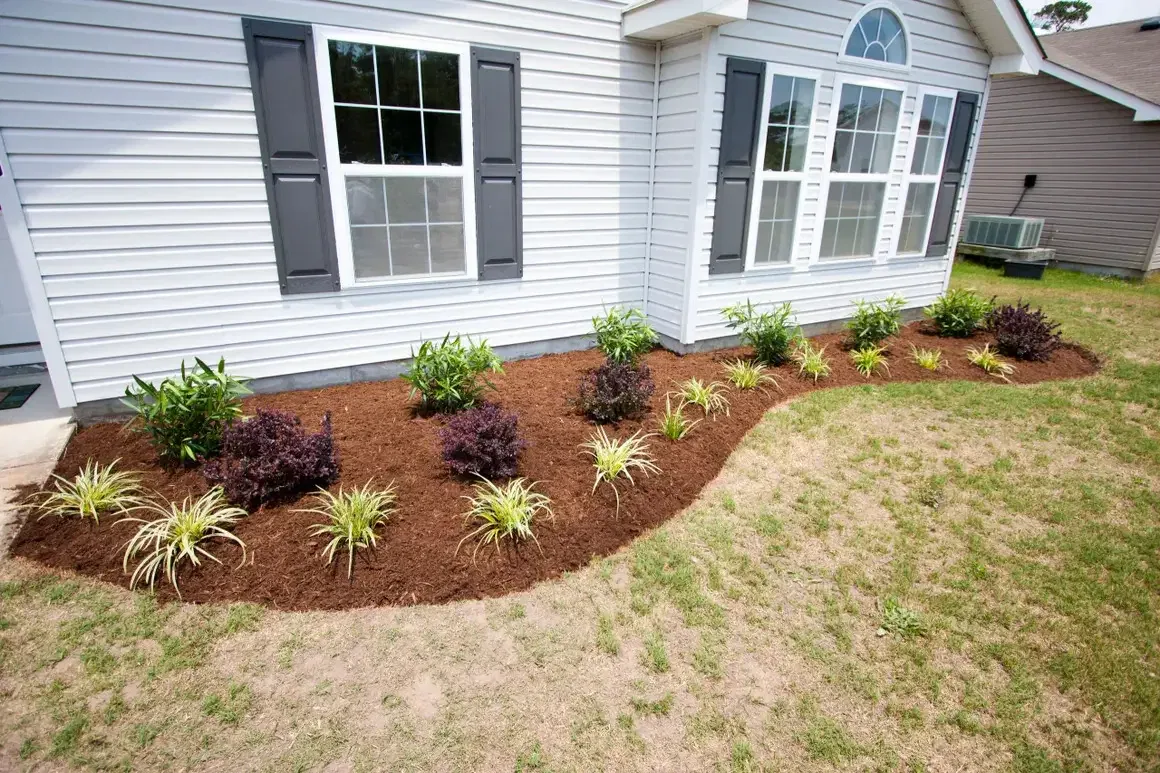 Expert Lawn Care in the Outer Banks, NC, & Nearby Areas