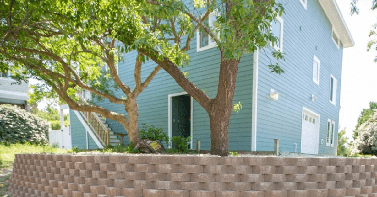 Coastal property with large oak tree in Outer Banks