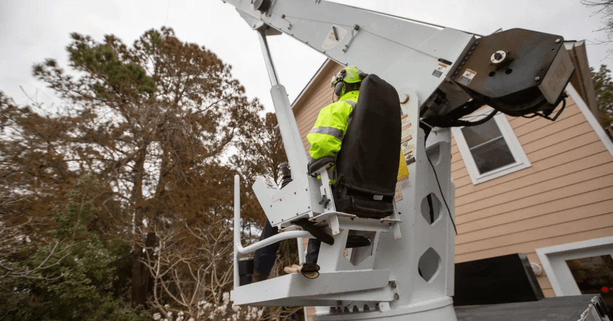 tree service Southern Shores, NC