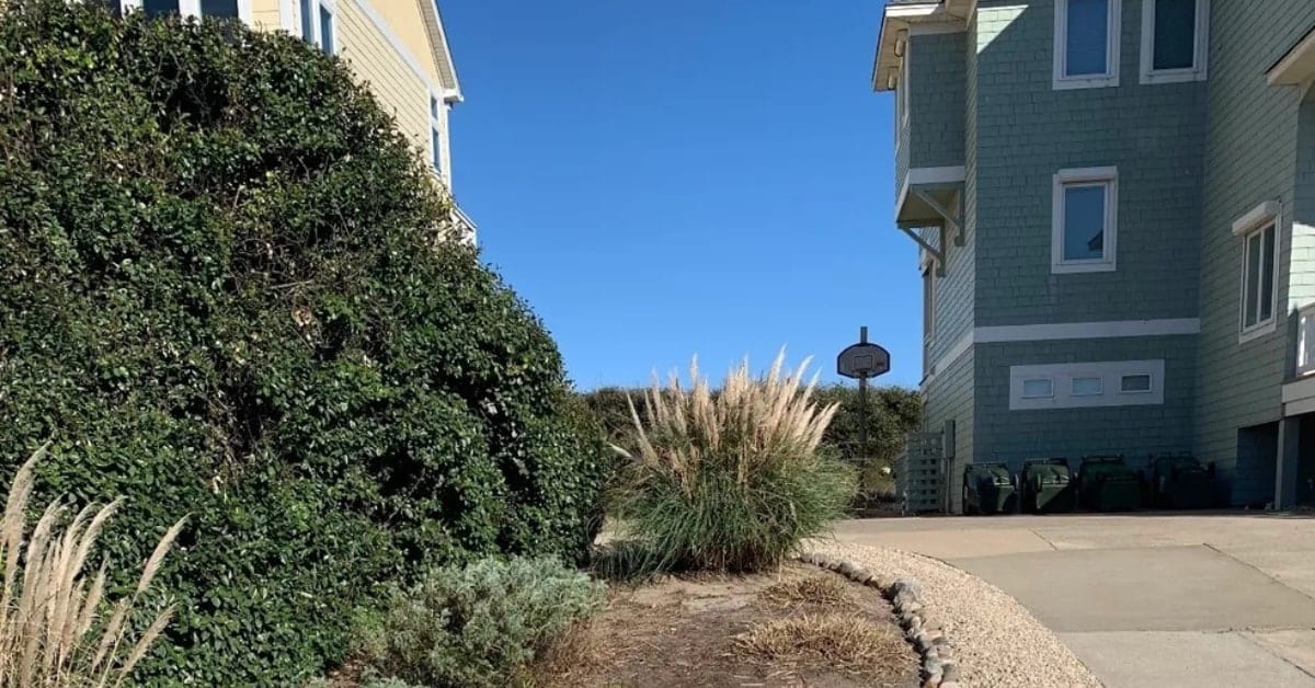 Backyard with landscaping ideas including native plants, lighting, and container gardening