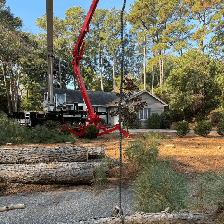 Emergency Tree Service Kill Devil Hills, NC