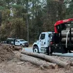 tree removal near me