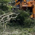 Large oak tree leaning toward a residential home with exposed roots and cracked soil after heavy storm winds, showing high risk of failure.