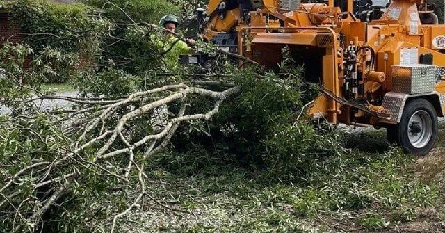 Large oak tree leaning toward a residential home with exposed roots and cracked soil after heavy storm winds, showing high risk of failure.