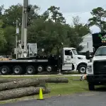 Emergency tree removal near me in the Outer Banks with arborist