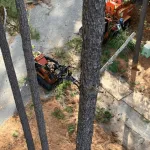 Professional landscapers maintain a modern office building’s exterior garden