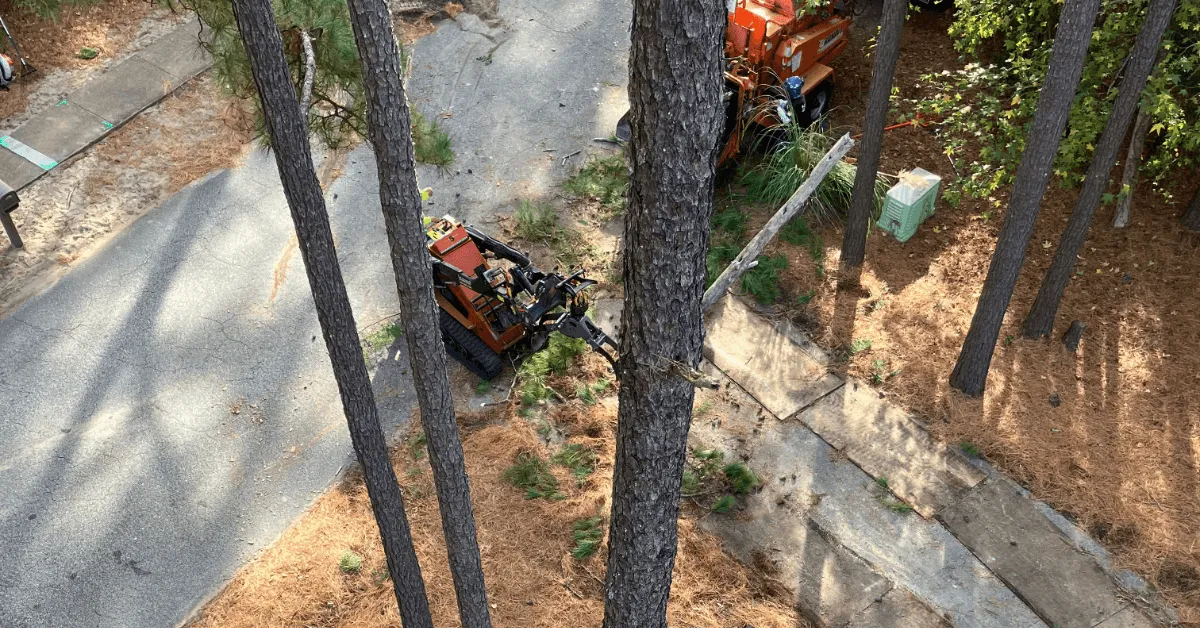 Professional landscapers maintain a modern office building’s exterior garden
