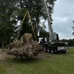 Crane lifting a large tree section from a house roof, contrasted with a standard tree removal operation.