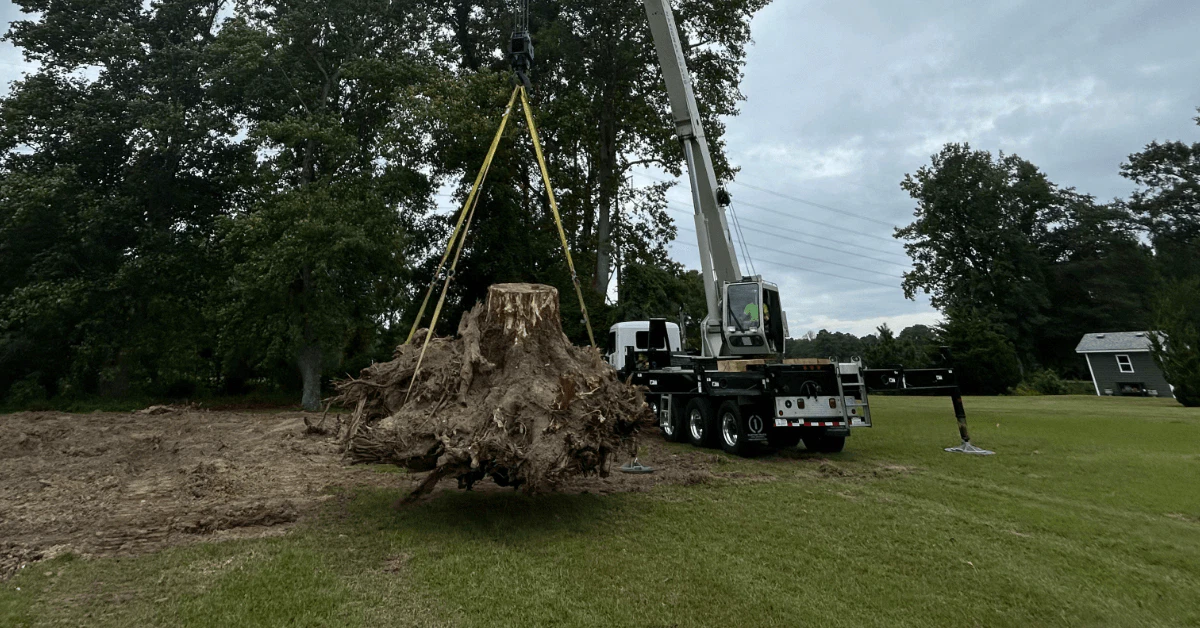 Crane lifting a large tree section from a house roof, contrasted with a standard tree removal operation.