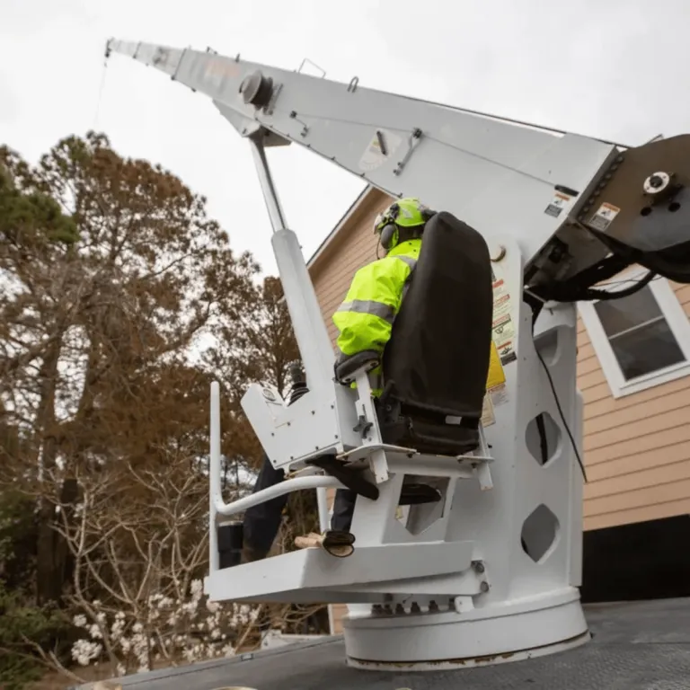 Certified arborist inspecting pine tree health near coastal home in Outer Banks NC