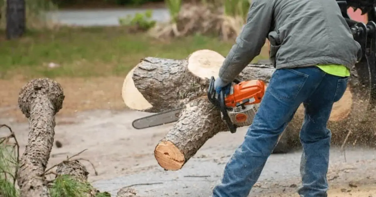 tree service in nags head, nc