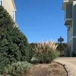 Backyard with landscaping ideas including native plants, lighting, and container gardening