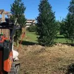 Professional Lawn Mowing in the Outer Banks