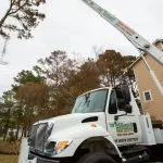 Fallen Trees in the Outer Banks, Removal and Cleanup