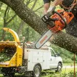 Qualified arborist trimming a large oak tree to remove dead branches and promote healthy growth.