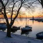 Leaning tree with exposed roots near a home in Point Harbor, NC showing signs of failure risk