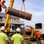 Albemarle Landscapes and Tree Service team removing a large tree near an Outer Banks home.