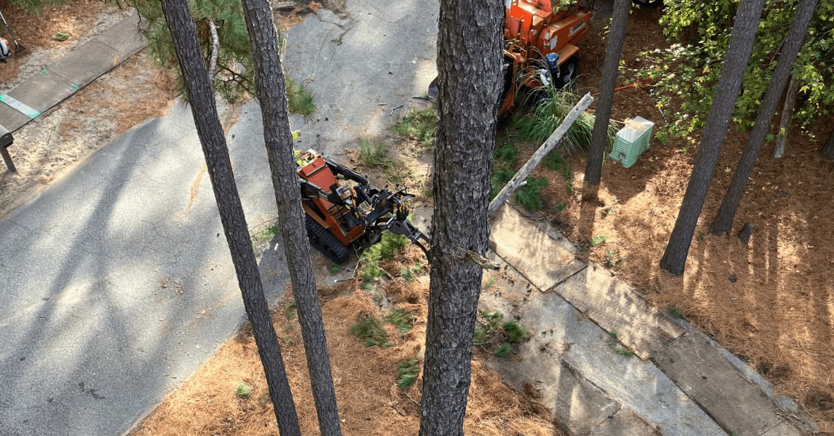 Professional landscapers maintain a modern office building’s exterior garden