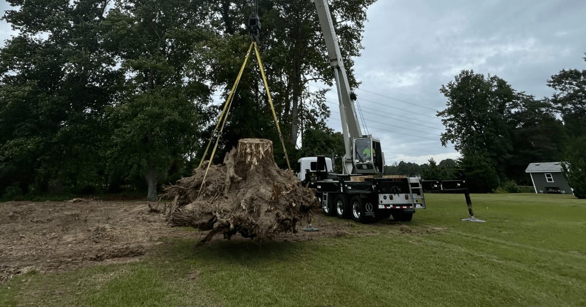 Crane lifting a large tree section from a house roof, contrasted with a standard tree removal operation.