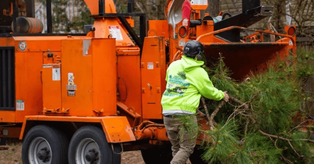 Tree removal and landscaping crew working on a coastal property in Duck, NC