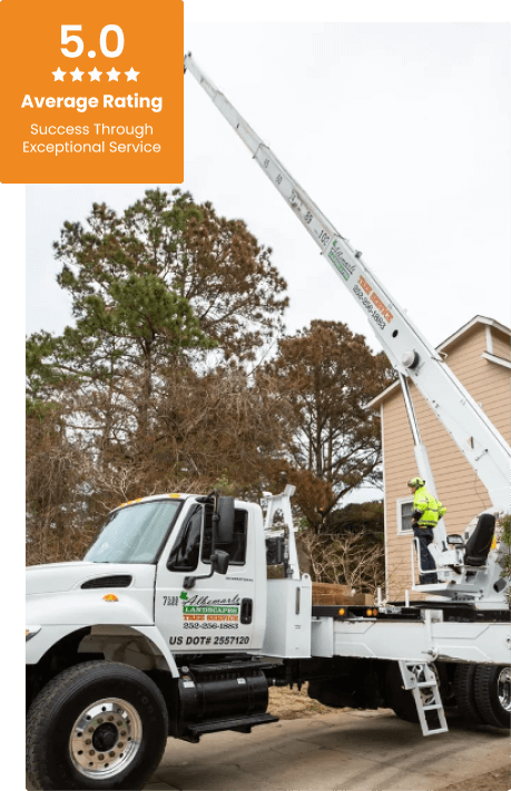 Commercial Tree Service