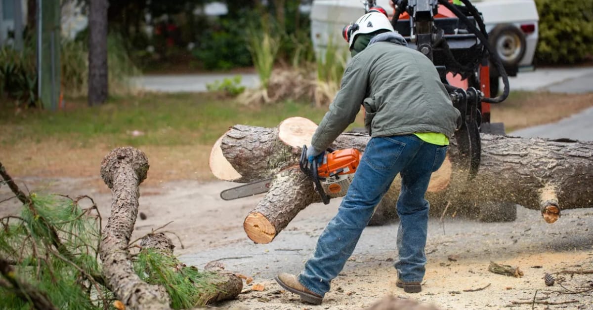Affordable Tree Service