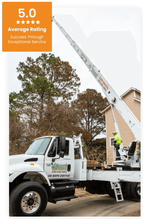 Commercial Tree Service