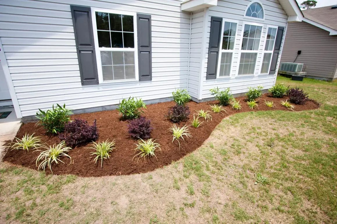 Expert Lawn Care in the Outer Banks, NC, & Nearby Areas